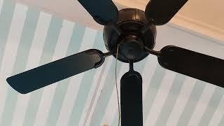 Out-N-About: 10 Gulf Coast Centurion Ceiling Fans.