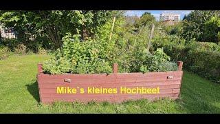 Mike`s kleines Pre-Bonsai Hochbeet