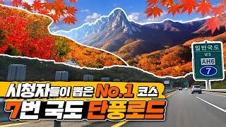 시청자들이 뽑은 no.1 가을드라이브코스는 어디?