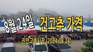 건고추 가격 시세 알려드립니다. 진안고추시장 8월 24일