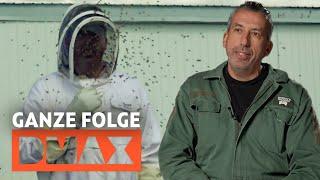 Flotte Bienen | Steel Buddies | Ganze 1. Folge der finalen Staffel | DMAX Deutschland