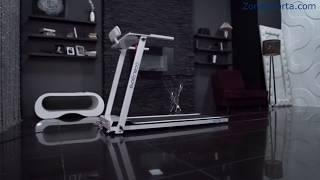 Беговая дорожка Evo Fitness Vector II