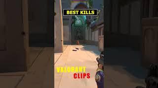 Why Gekko's Dizzy is the BEST VALORANT GAMER  #shorts #valorantshorts #shellyt  #valorant