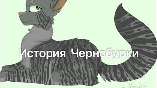 История Чернобурки(по просьбе подписчицы)/Коты-воители