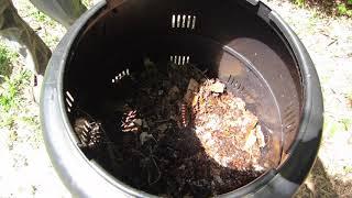 Earth Machine composting bin hard at work