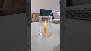 Checked out an experiment from the Internet