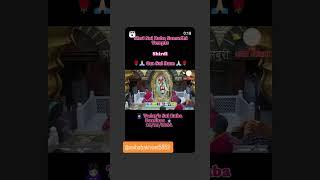 sai baba live darshan today||sai baba live darshan today now| shirdi sai baba live darshan|#shorts..