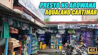 Presyo Ng Arowana Sa AQUALAND ALLEY Cartimar