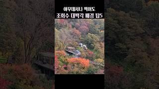 그냥 막 찍어도 인생샷 여행 배경 TOP5 #경기도여행 #충청도여행