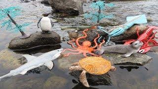 Splash Into Learning: Sea Animal Toys Fun Water Play for Kids