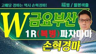 고배당 경마는 역시 손혁경마! 4/25 (금) 부산 복병마 분석!! 내용을 확인해보세요!
