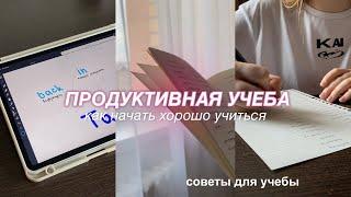 ПРОДУКТИВНАЯ УЧЕБА: КАК НАЧАТЬ ХОРОШО УЧИТЬСЯ? Советы для учебы