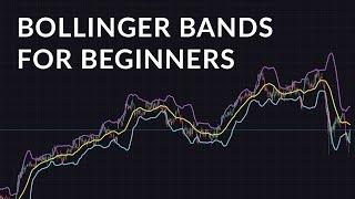 Bollinger Bands: Beginner Guide