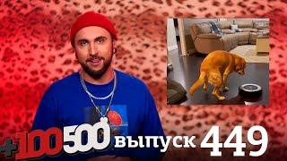 +100500 | Выпуск 449