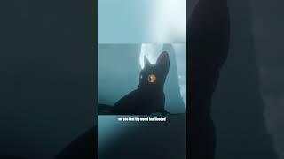 Explanation of the Ending of Flow.#puppy #lovestory #cat #movie