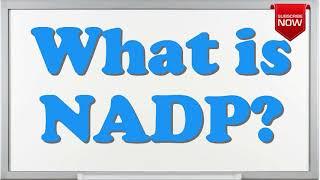 What is the full form of NADP?