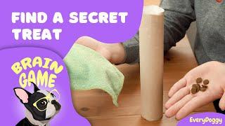 Brain Games for Puppies and Dogs — Find a Secret Treats DIY | EveryDoggy