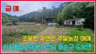 급매!! 조용한 자연인 주말농장 매매 / 813제곱(246평) / 전남 화순군 도암면 / 강산부동산 / 화순부동산 / 화순주말농장 / 화순농막 / 화순농가주택