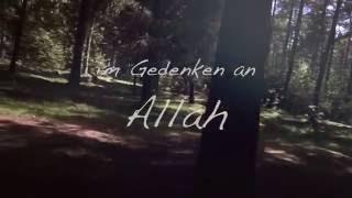 QUR'AN  || Ruhe im Herzen, durch Gedenken Allahs || *B2F*