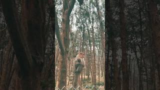 When the monkey steals the spotlight | #travel #naturelovers #nature #ytshorts #trending #viral #fyp