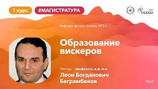 НИЯУ МИФИ | Беграмбеков Л.Б. - Взаимодействие плазмы с поверхностью | Лекция №8 | 1 семестр (М)