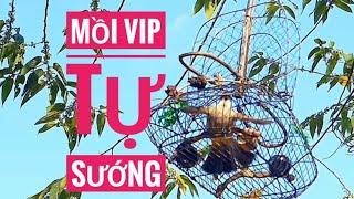 Bông lau mồi căng lửa cực đỉnh @bonglauvietnam2022