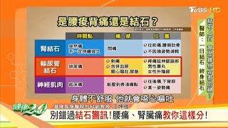 別錯過結石警訊！腰痛、腎臟痛教你這樣分！ 健康2.0 20190601