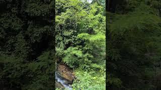 Kleiner Wasserfall in der Gaulschlucht