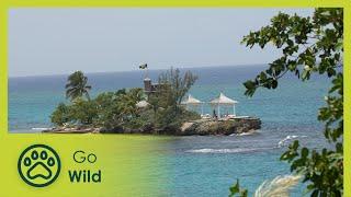 Jamaica - Great Places of the World 4/6