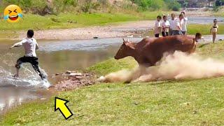 Best Funny Videos Compilation   Cute And Fails  Human Being Idiots P13