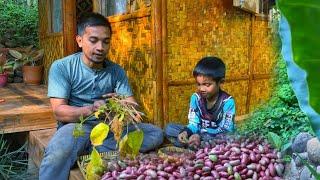 Simple & delicious cooking in the village | Akhdan harvests beans with Abi | Living in the Village