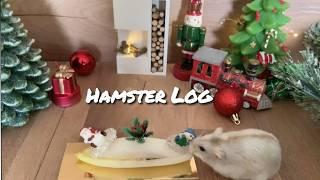 My Hamster’s Christmas Log cake !! 