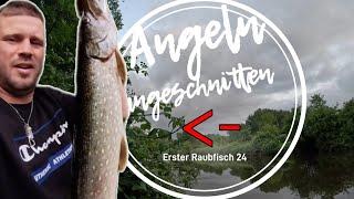 Angeln ungeschnitten mein erster Raubfisch diese Saison #angeln #fishing #outdoor #hecht