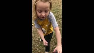 Karate Choping A Stick