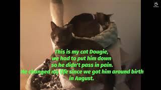 Rest in Peace Dougie... My best friend  