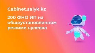 200 ФНО ИП на общеустановленном режиме нулевка за 2023 год