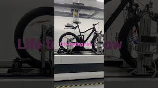 Life testing of mountain e-bike 