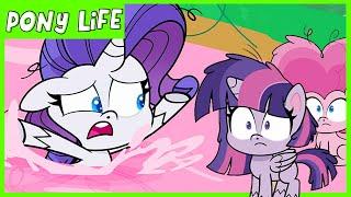 Pony Life | NEW | A Camping We Will Go  | MLP Pony Life