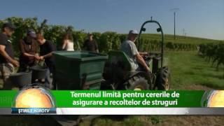 STIRILE AGRO TV 14 11 2016