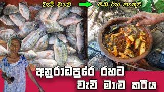 Delicious! Lake Fish Curry Recipe in Village Style, Sri Lanka