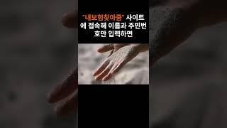 “숨은 보험금 찾는 3초 방법!” 내보험찾아줌 활용 #시니어 #보험금