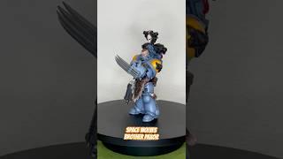 JoyToy Warhammer 40k Space Wolves Brother Paxor custom…