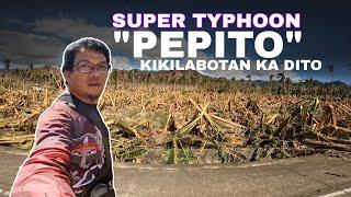 MOST WORST TYPHOON IN 2024 CATEGORY 5 SUPER TYPHOON PEPITO GRABE ANG PINSALA #pepito