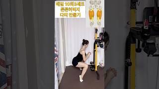 제2의심장 허벅지를 튼튼! 강화해주는하루 1분 운동#하제강화홈트#홈트#다리운동#오운완#허벅지운동
