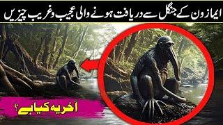 Top 8 Unusual Things That Was Found From The Amazon Rainforest In Urdu Hindi