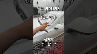 셀프세차 주의사항 (고압 건/폼 건)