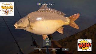 Russian fishing 4 - Lether carp / bear lake