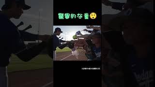 驚異的な量 #shoheiohtani #大谷翔平 #shorts #japan #fypシ #fyp #baseball #trending #野球 #野球解説