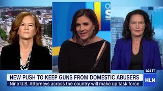 hln on the story about domestic violence and guns with Erica Hill