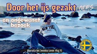 DOOR HET IJS GEZAKT  en  Ongewenst bezoek / Het Zweedse leven in Zweden Vlog 70 / with subs